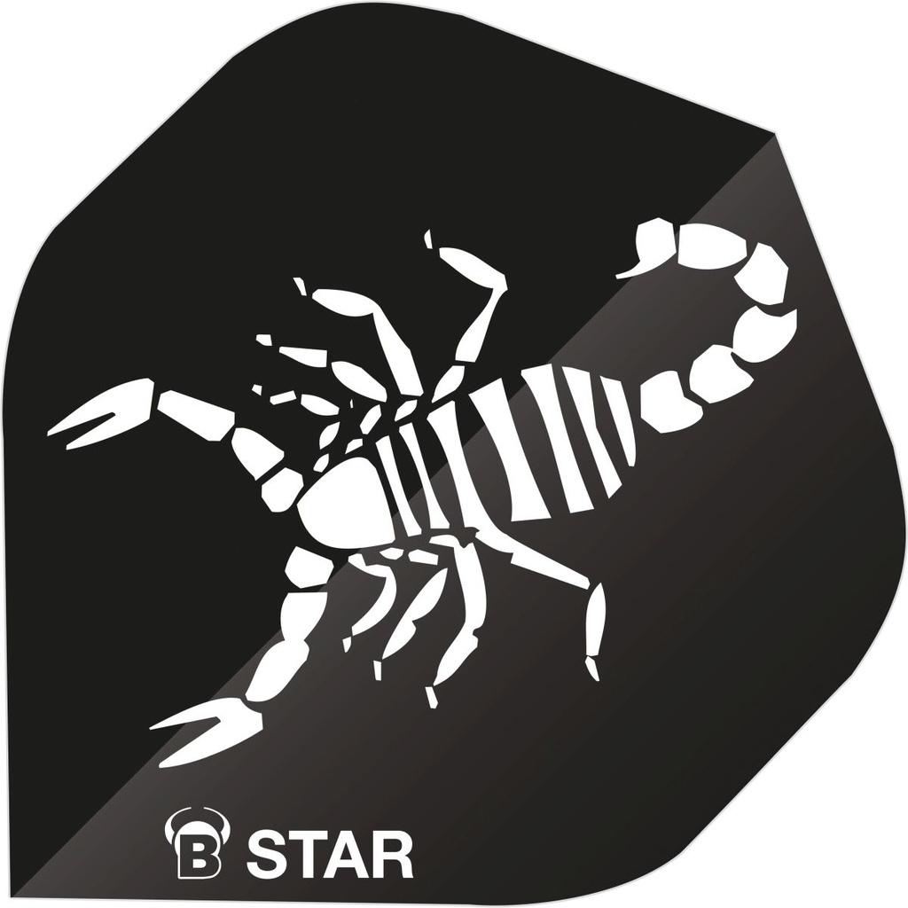 [b51836] BEAZD B-Star Flights