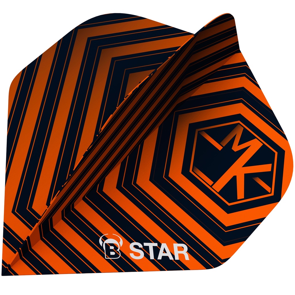 BULL'S B-Star Flights Martijn Kleermaker