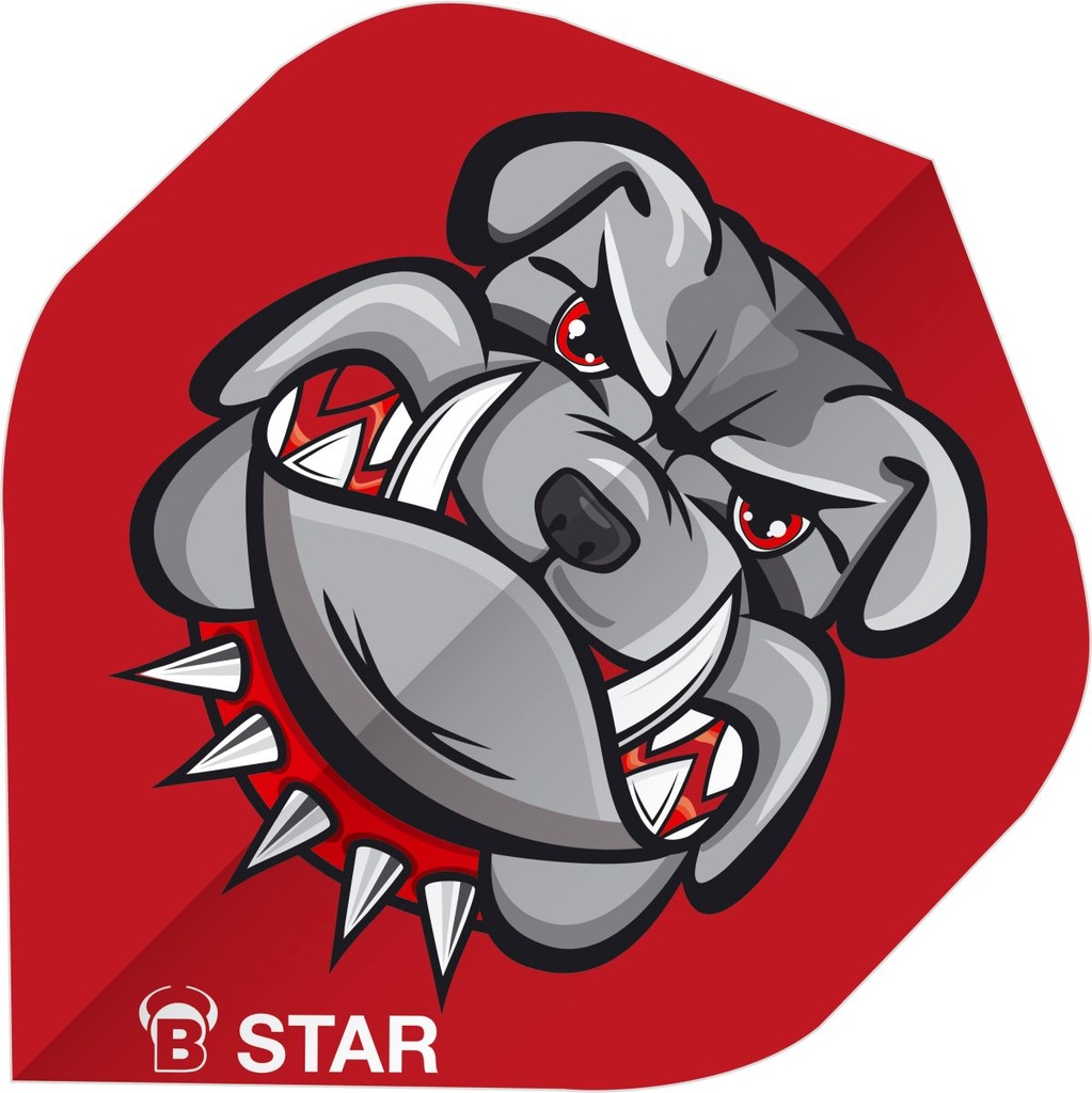 [51821] BULL'S B-Star Flights