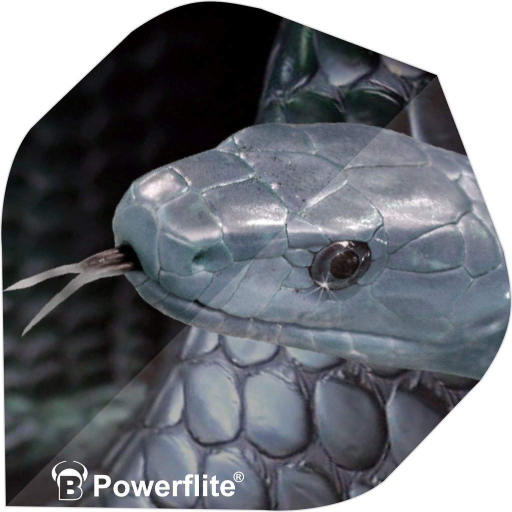 BEAZD Powerflite Flights