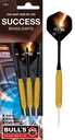 BEAZD Success Steeldart