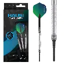 DPuls Hausi Marcel Hausotter Soft Dart