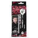 BULL'S Kendji Steinbach Challenger Steel Dart