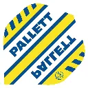 BULL'S Powerflite David Pallett