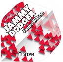BULL'S B-Star Flights James Wilson